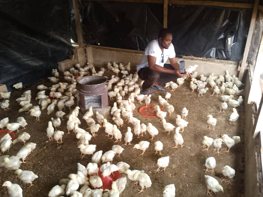 APPUI A LA CREATION D’ACTIVITES GENERATRICES DE REVENUS